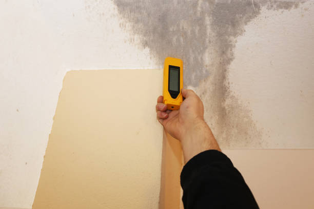 Best Mold Remediation for Healthcare Facilities  in , MO