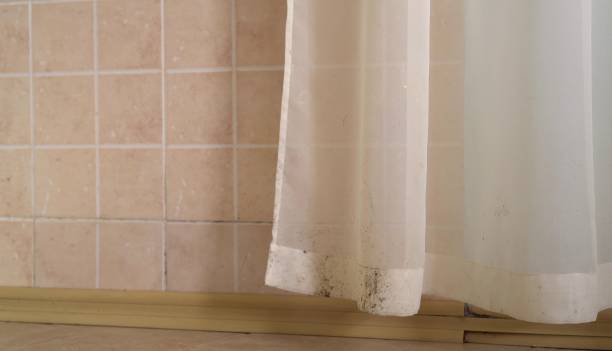 Best Dehumidification Services  in , MO