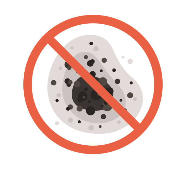Best Mold Prevention Services  in , MO