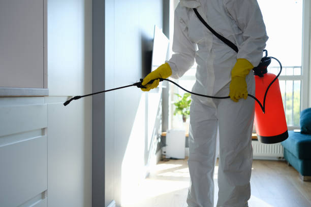 Best Post-Construction Mold Inspection  in , MO