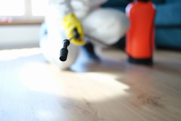 Best Commercial Mold Inspection  in , MO