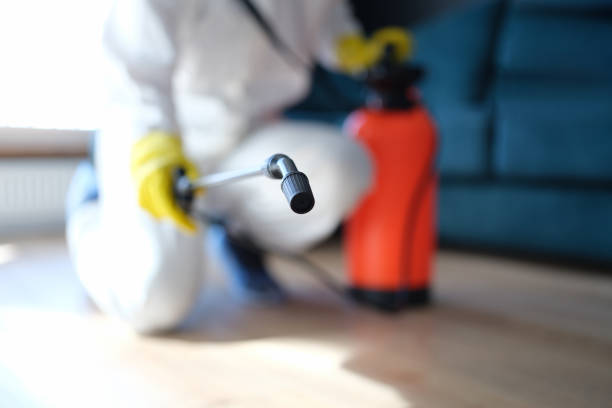 Best HVAC Mold Inspection and Cleaning  in , MO