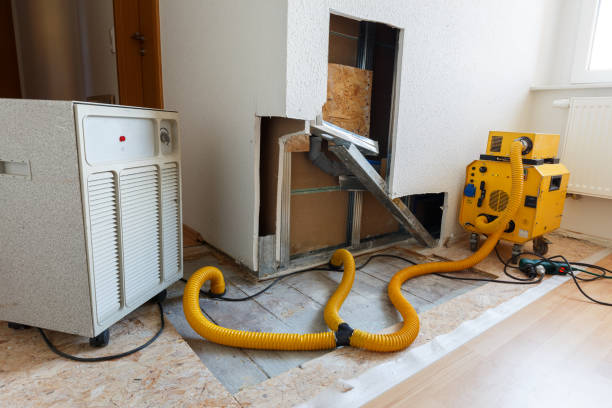Best Industrial Mold Remediation  in , MO