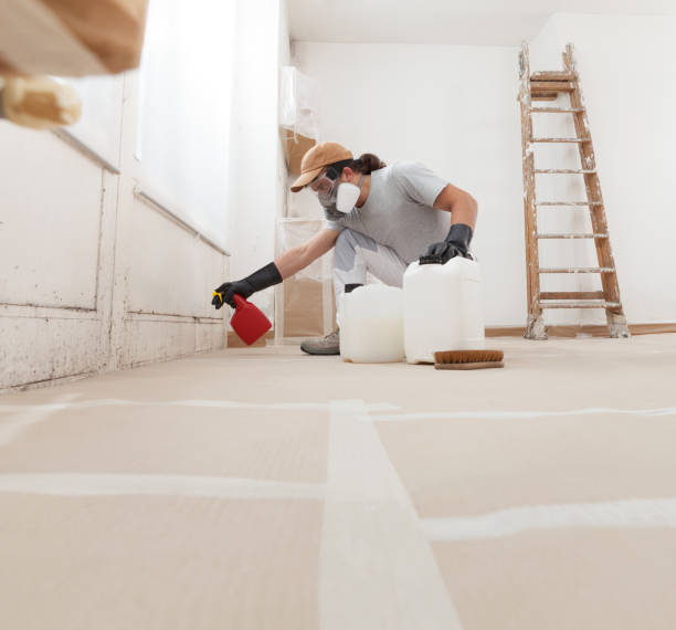 Best Airborne Mold Testing  in , MO